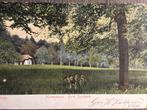 Ansichtkaart Arnhem - Park Sonsbeek, Ophalen of Verzenden, Voor 1920, Gelopen, Gelderland