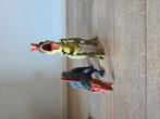 Siamosaurus yangchuanosaurus, Verzamelen, Beelden en Beeldjes, Ophalen of Verzenden, Zo goed als nieuw