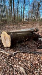 Enorme beuken stam hout haardhout, Doe-het-zelf en Verbouw, Hout en Planken, Ophalen of Verzenden