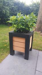 Plantenbak met hortensia, Ophalen, Kunststof, Minder dan 60 cm, Rond