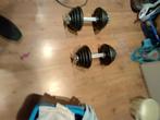 Dumbbellset 2x15 kg, Ophalen, Gebruikt, Dumbbell