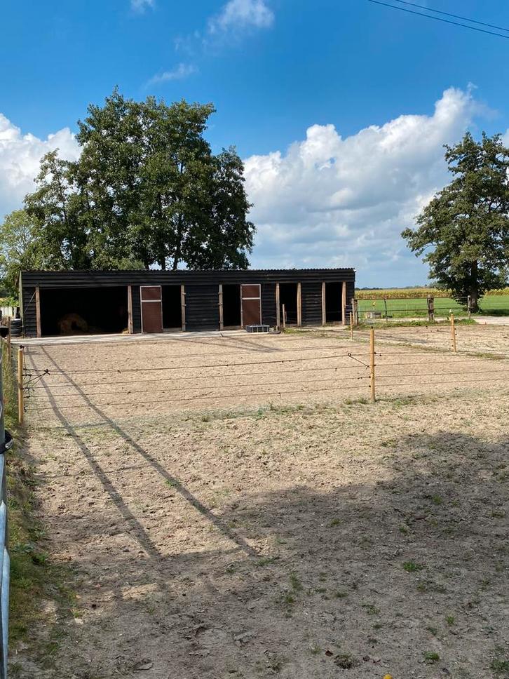 Stalling & weidegang <1,20, Dieren en Toebehoren, Stalling en Weidegang, Stalling, Weidegang