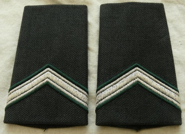 Rang Onderscheiding DT2000, Sgt MA / Wmr CAV, KL, va 2000(1), Verzamelen, Militaria | Algemeen, Landmacht, Overige typen, Nederland