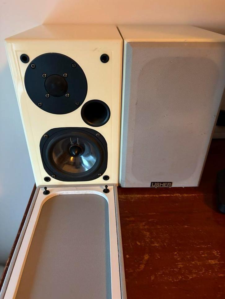 Usher Luidsprekers - Topkwaliteit!, Audio, Tv en Foto, Luidsprekers, Gebruikt, Front, Rear of Stereo speakers, 60 tot 120 watt