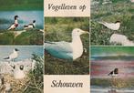 SCHOUWEN DUIVELAND Vogelleven, Verzamelen, Verzenden, 1980 tot heden, Gelopen, Zeeland