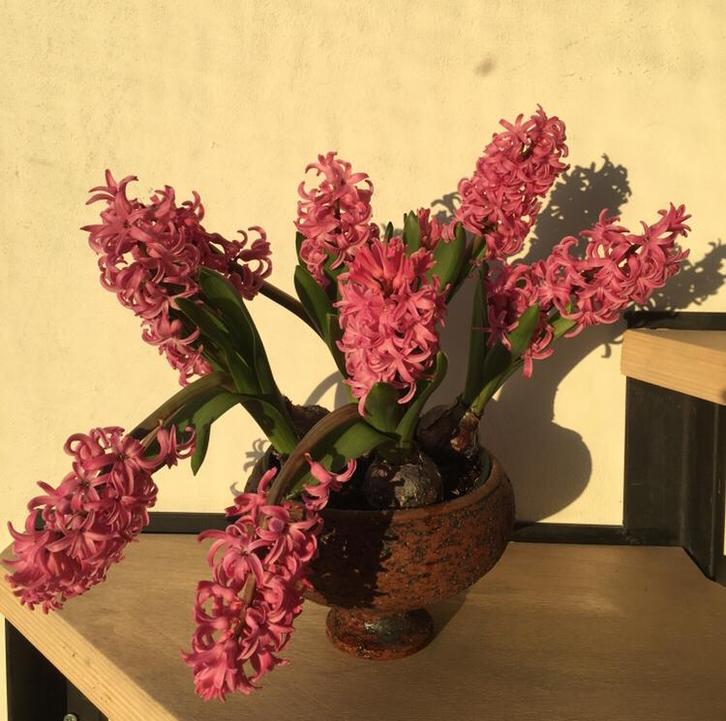 Vintage pot bruintinten oranje groen glazuur uniek berkenbas, Tuin en Terras, Bloempotten, Zo goed als nieuw, Terracotta, Binnen