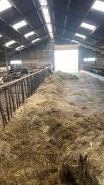 Vastzet voerhekken, Dieren en Toebehoren