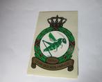 299 Squadron sticker, Nederland, Luchtmacht, Verzenden
