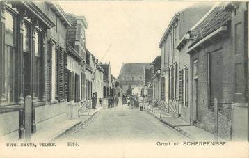 (388-418-045) Scherpenisse beschikbaar voor biedingen