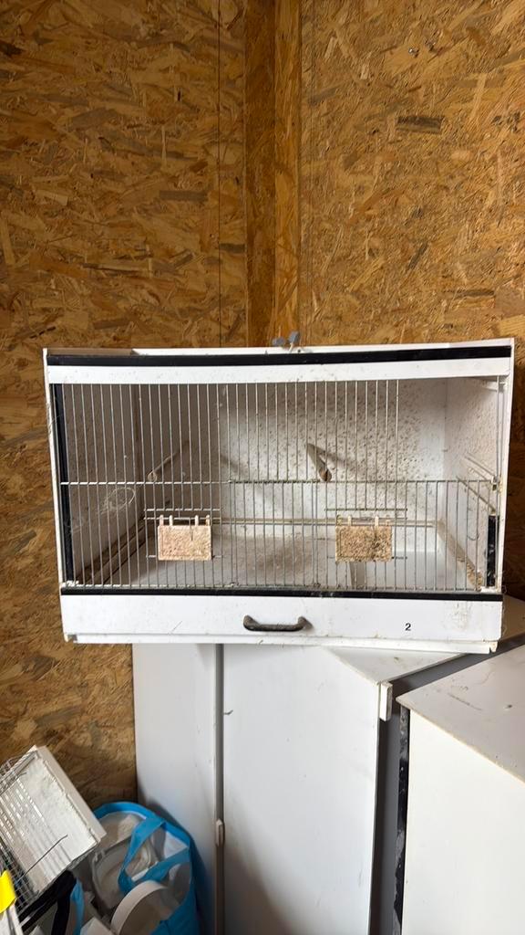Kunstof broedkooien birdsupply, Dieren en Toebehoren, Vogels | Hokken en Kooien, Gebruikt, Overige typen, Kunststof, Ophalen