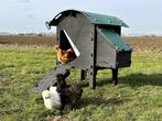 Kunststof Kippenhok - Nestera Small Op Pootjes, Dieren en Toebehoren, Ophalen of Verzenden, Nieuw, Kippenhok of Kippenren