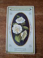 Oude J.C. Boldoot Prent - Camelia, Natuur, Gebruikt, Ophalen of Verzenden, Voor 1940