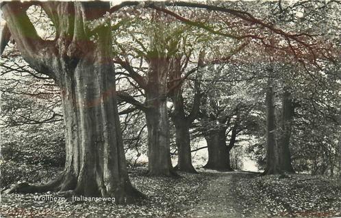 (387-035-011) Wolfheze Italiaanseweg, Verzamelen, Ansichtkaarten | Nederland, Gelderland, Voor 1920, Verzenden