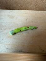 Groente - 5cm - porselein, Ophalen of Verzenden, Zo goed als nieuw, Poppenhuis