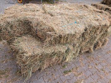 Kleine hooi pakjes super kwaliteit  beschikbaar voor biedingen