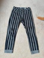 Dames broek Costes (w27)/s/xs, Ophalen of Verzenden, Zo goed als nieuw, Maat 36 (S), Lang