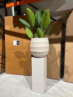 Beige buiten en binnen pot 55x55 cm 2 stuks, Ophalen, Nieuw