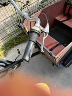 Babboe Big Bakfiets - Gebruikt, Ophalen, Gebruikt, 2 kinderen, Overige merken
