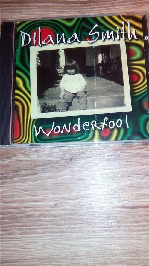Dilana Smith - Wonderfool, Cd's en Dvd's, Cd's | Rock, Zo goed als nieuw, Poprock, Ophalen of Verzenden