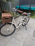 Aangepaste electrische fiets, Minder dan 47 cm, Ophalen, Zo goed als nieuw, Overige merken