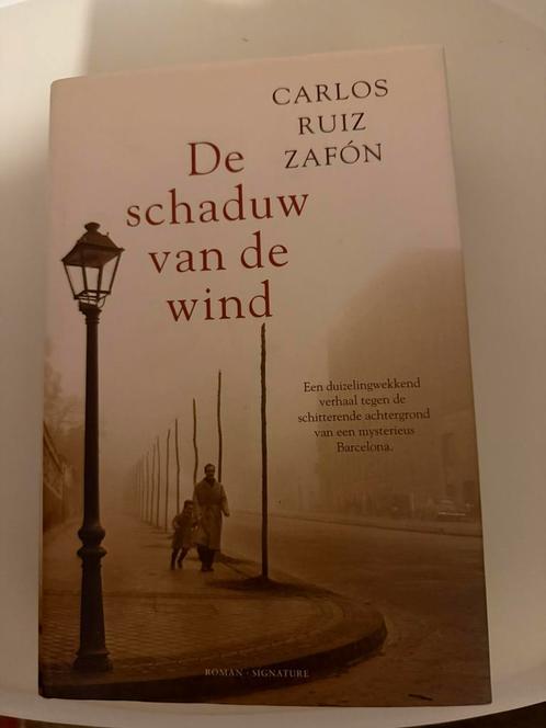 De schaduw van de wind, Boeken, Romans, Zo goed als nieuw, Europa overig, Ophalen of Verzenden