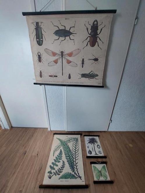 Hk living posters, Huis en Inrichting, Woonaccessoires | Schilderijen, Tekeningen en Foto's, Gebruikt, Print, 75 cm of meer, 100 tot 125 cm