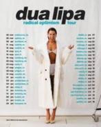 Dua Lipa Amsterdam 3 juni 2x vak 102, rij 11, Twee personen, Juni