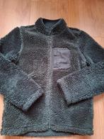 Mooi en warm donkergroen vest Hema maat 146! winter, Gebruikt, Trui of Vest, Ophalen of Verzenden, Hema