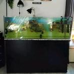 Volglas aquarium 150 cm met onderkast Juwel 400, Dieren en Toebehoren, Vissen | Aquaria en Toebehoren, Ophalen, Gebruikt, Leeg aquarium
