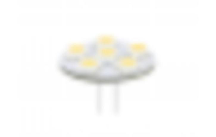 Led steeklampen g4 10-30v ac/dc led steeklampjes g4, Huis en Inrichting, Lampen | Losse lampen, Nieuw, Led-lamp, Minder dan 30 watt