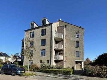 NIEUW! Woonruimte te huur Amnestylaan, Middelburg beschikbaar voor biedingen