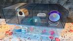 Hamster kooi met veel accesoires, Kooi, Minder dan 75 cm, Zo goed als nieuw, Hamster