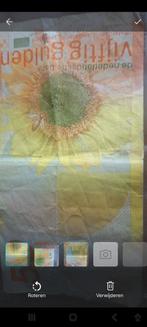 50 gulden biljet 1982 zonnebloem, Postzegels en Munten, Bankbiljetten | Nederland, Ophalen of Verzenden, 50 gulden, Los biljet