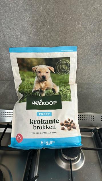 Puppybrokken welkoop beschikbaar voor biedingen