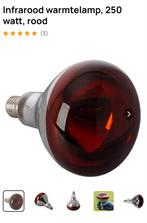 Infrarood warmtelamp 250watt, rood, Ophalen of Verzenden, Zo goed als nieuw