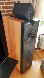 Acapella Harlekin MK2 , top high end speakers. nieuwstaat !!, Audio, Tv en Foto, Luidsprekers, Zo goed als nieuw, 120 watt of meer