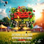 4 tickets sfeer festival , kan zelf helaas niet gaan, Tickets en Kaartjes, Evenementen en Festivals, Twee personen