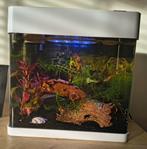 Aquarium zgan paar weken gebruikt., Ophalen, Zo goed als nieuw, Verlichting of Verwarming
