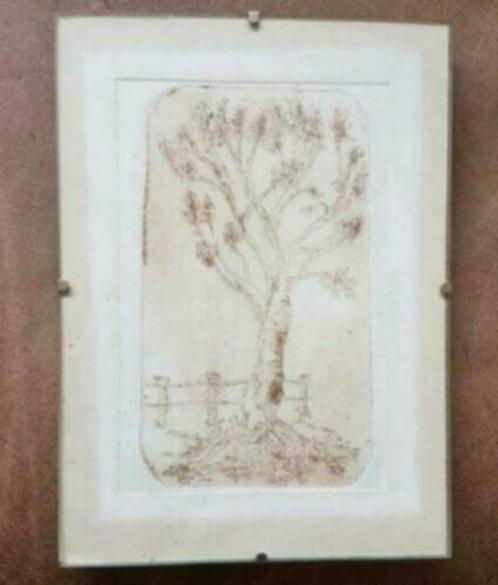 ets boom Ruud van Zon kunstenaar uit Heemskerk, Antiek en Kunst, Kunst | Etsen en Gravures, Ophalen