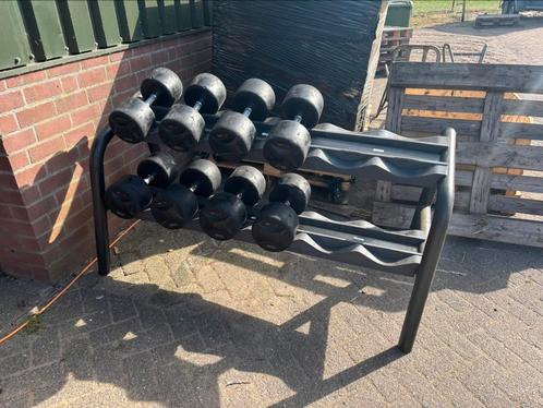 Lifemaxx Dumbbellset 32-38 met rek, Sport en Fitness, Fitnessmaterialen, Zo goed als nieuw, Dumbbell, Ophalen