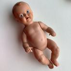 Schildpad popje, Verzamelen, Poppen, Ophalen of Verzenden, Zo goed als nieuw, Pop