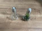 Gloeilamp met led verlichting en met kunstplantje, Ophalen of Verzenden, Zo goed als nieuw, Overige typen