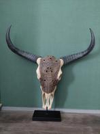 Mooie grote gegraveerde bull skull, Huis en Inrichting, Woonaccessoires | Overige, Ophalen of Verzenden