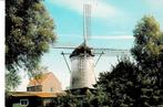 Stavenisse, Molen, Verzamelen, Ansichtkaarten | Nederland, Ophalen of Verzenden, Ongelopen, Zeeland