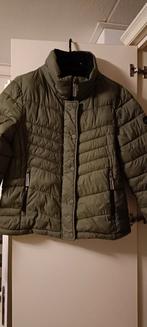 Winterjas van Superdry, Nieuw, Groen, Maat 42/44 (L), Superdry