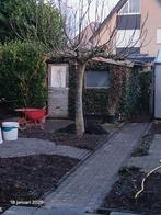 Gratis tuinman hovenier camping staanplaats gezocht, Ophalen of Verzenden