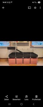 Cavia kooi van Grids, Dieren en Toebehoren, Knaagdieren en Konijnen | Hokken en Kooien, Ophalen