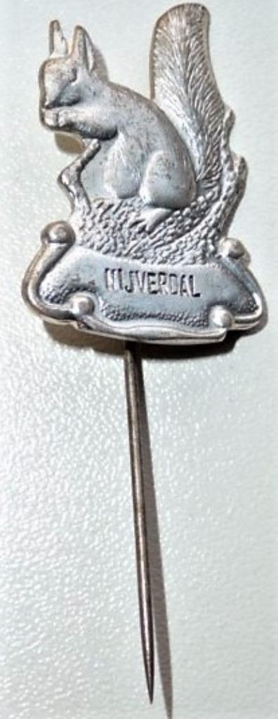 21 steden speldjes, Nijverdal, Volendam, Zeist, Scheveningen, Verzamelen, Speldjes, Pins en Buttons, Gebruikt, Speldje of Pin