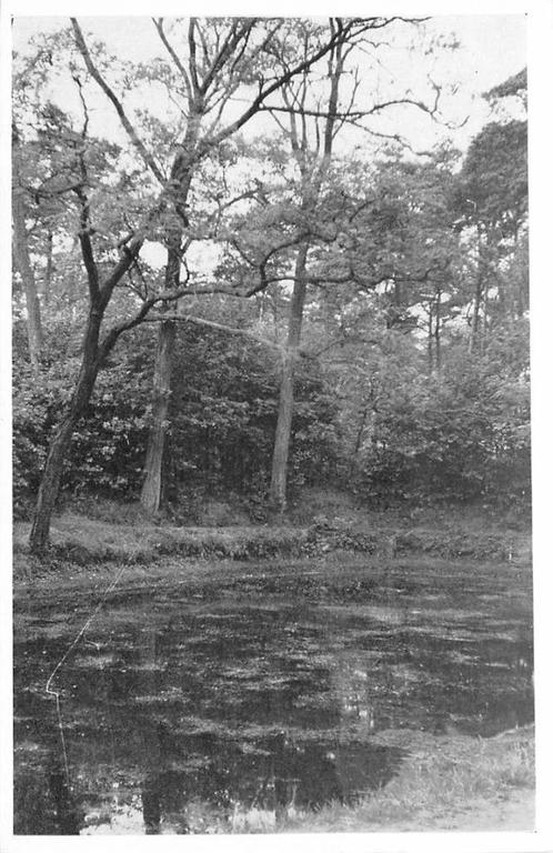 (388-416-031) Driebergen-Rijsenburg Acaciavijver, Verzamelen, Ansichtkaarten | Nederland, Utrecht, Verzenden