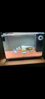 Aquarium superfish, Ophalen, Gebruikt, Leeg aquarium